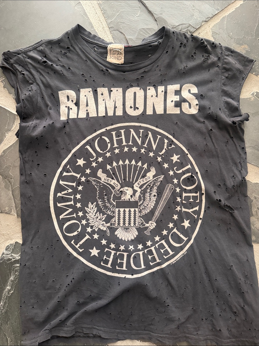 Vintage Ramones distressed Black Graphic Band Tee - Classic Punk